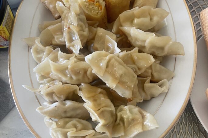 Chicken dumplings