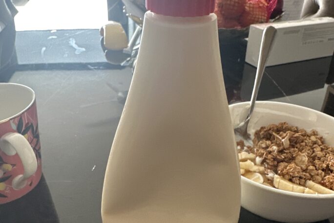 Chicken rice with mayo