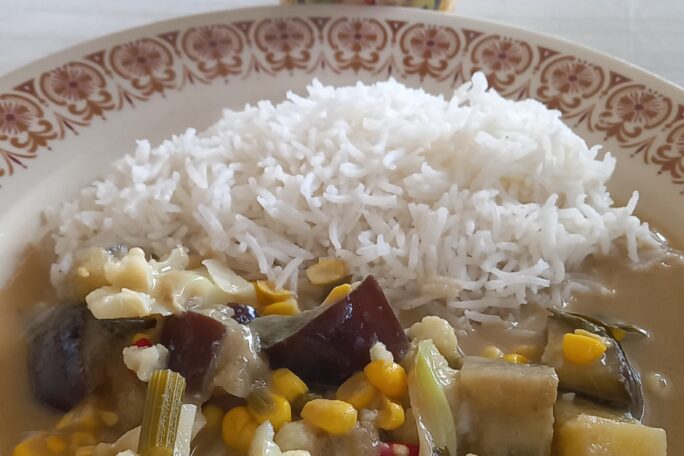 Green curry eggplant and vegie