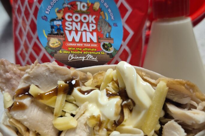 Japanese style Bbq chicken wrap