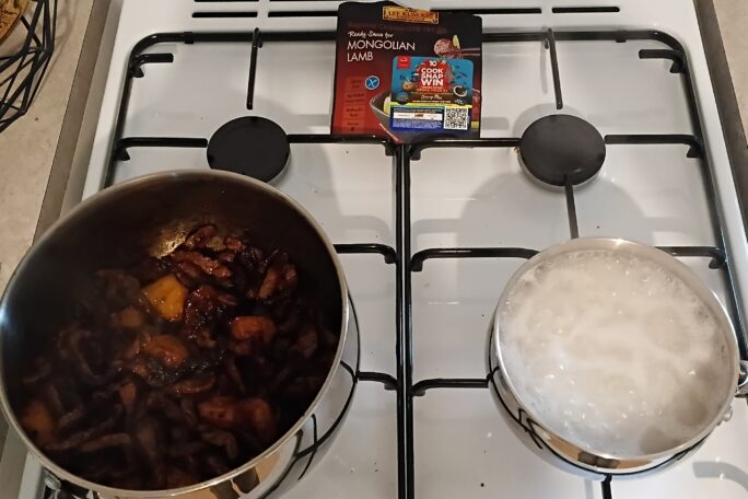 Mongolian Beef with rice